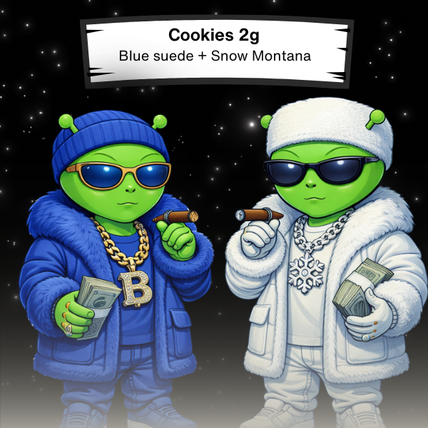 Blue suede + Snow Montana