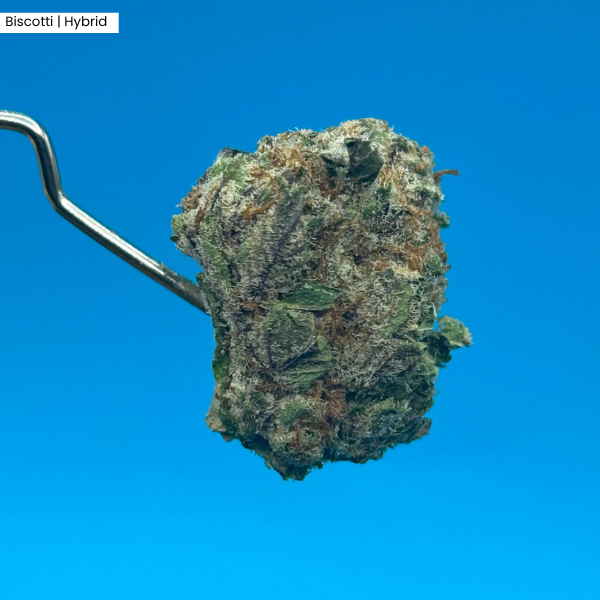 Biscotti _ Product.png