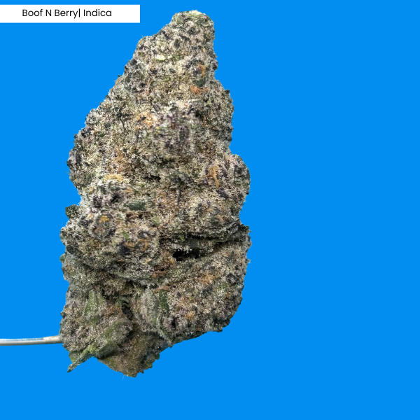 Boof N Berry  Product.png