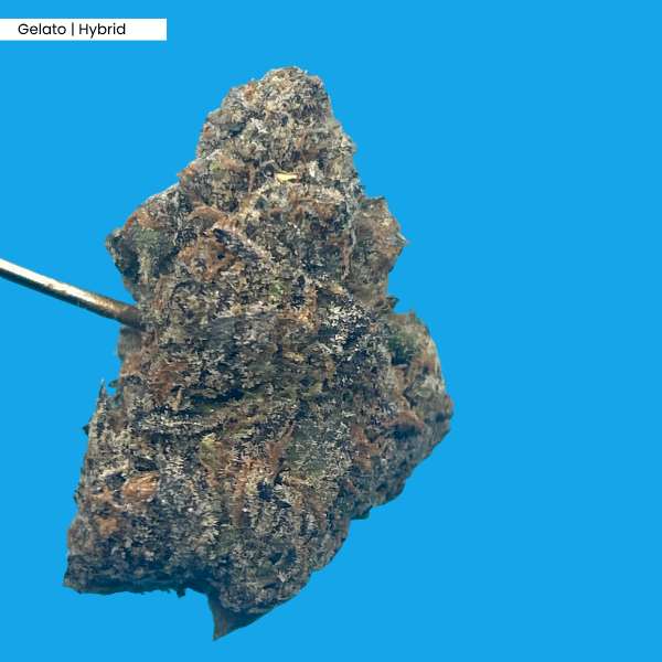 Gelato _ Product.png