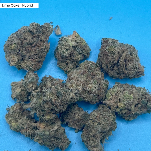 Lime Cake _ Product.png