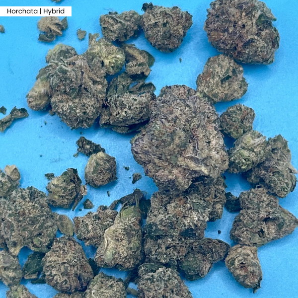 Horchata _ Product.png