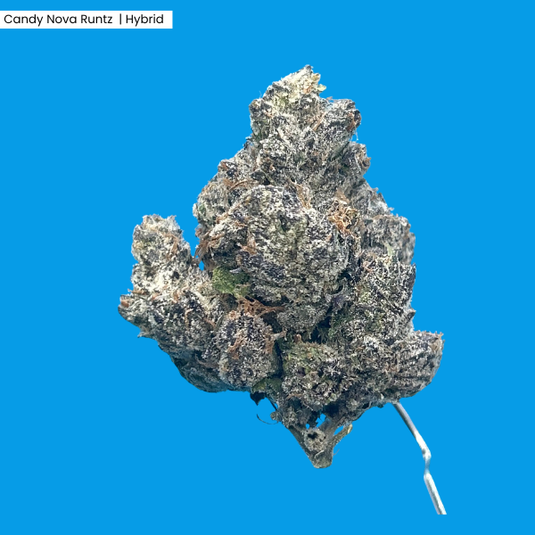 Candy Nova Runtz _ Product.png