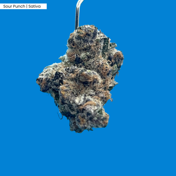 Sour Punch _ Product.png