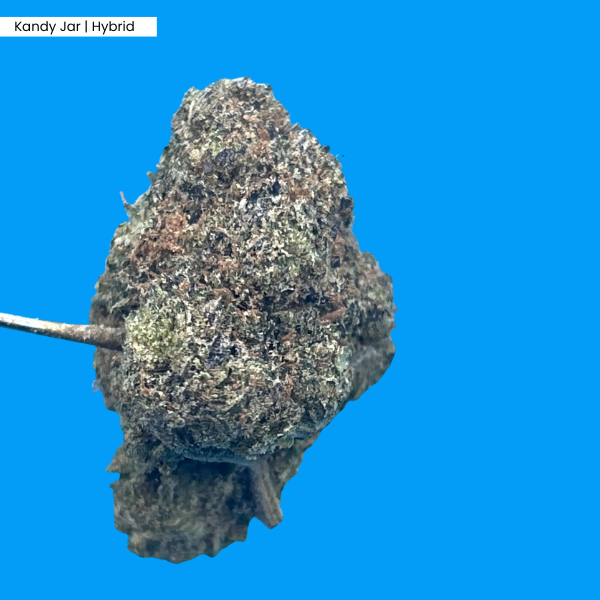Kandy Jar  Product .png