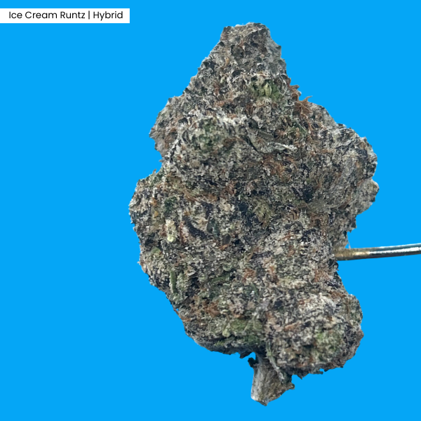 Ice Cream Runtz _ Product.png