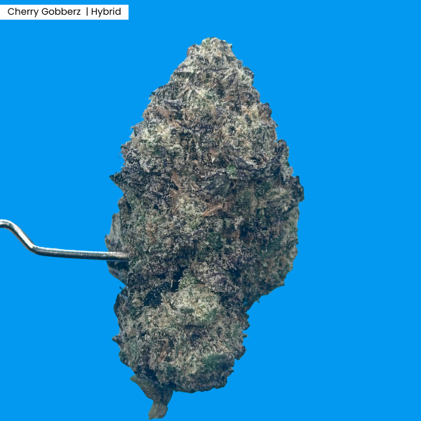Cherry Gobberz _ Product.png