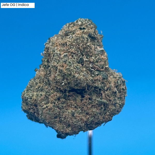 Jefe OG _ Product.png