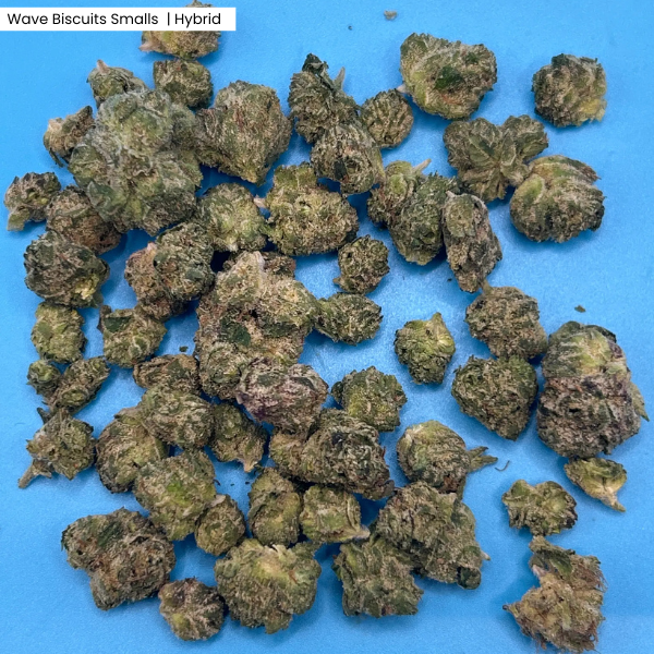 Wave biscuits smalls _ Product.png