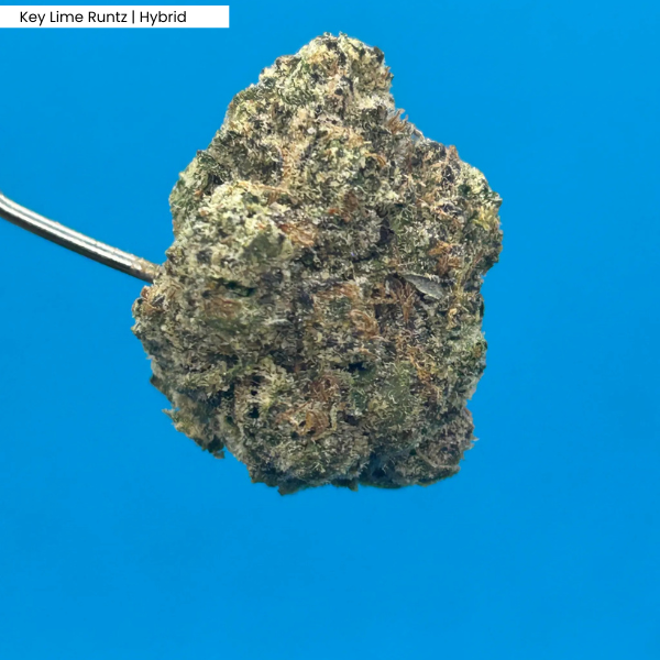 Key Lime Runtz  _ Product.png