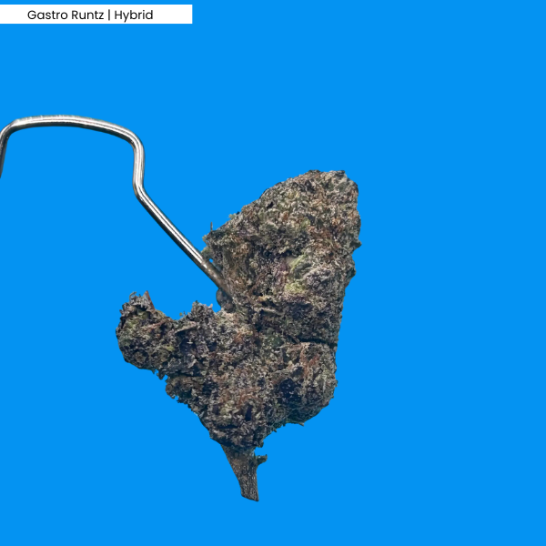 Gastro Runtz _ Product.png