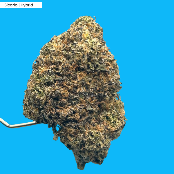 Sicario _ Product.png