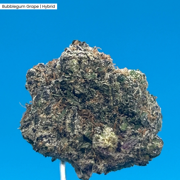 Bubblegum Grape _ Product.png