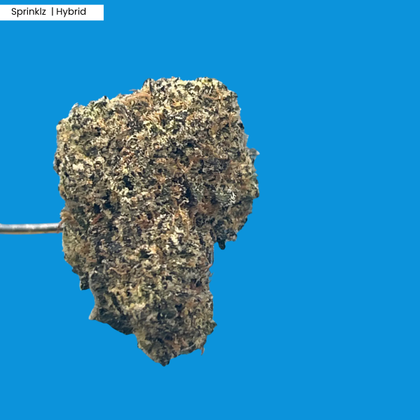 Sprinklz _ Product.png