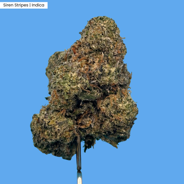 Siren Stripes  Product.png