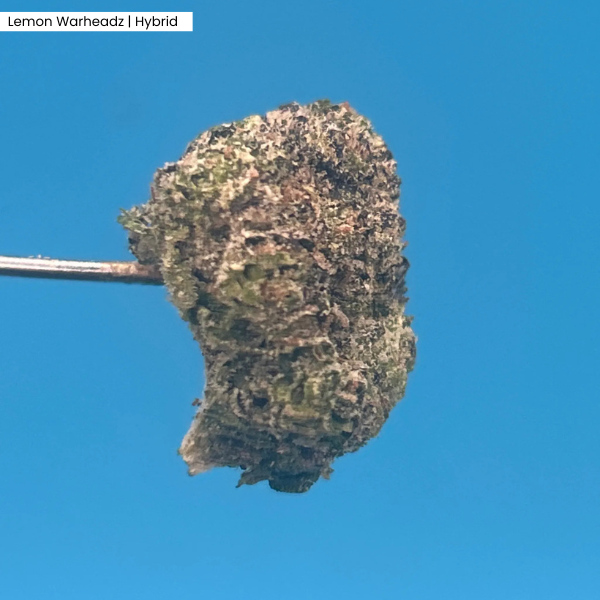 Lemon Warheadz _ Product.png