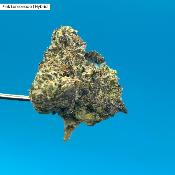 Pink Lemonade (2).png