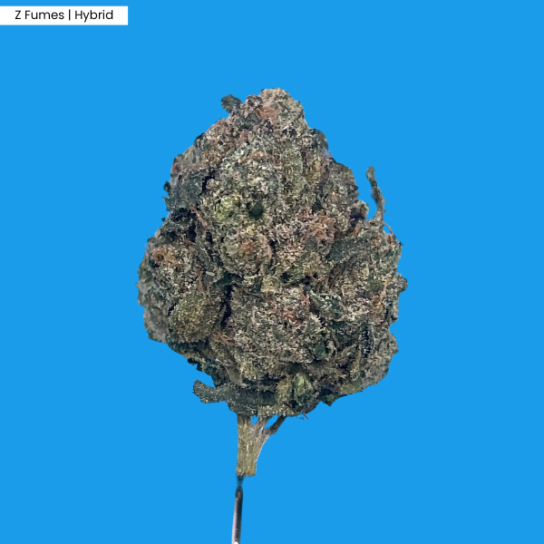 Z Fumes _ Product.png