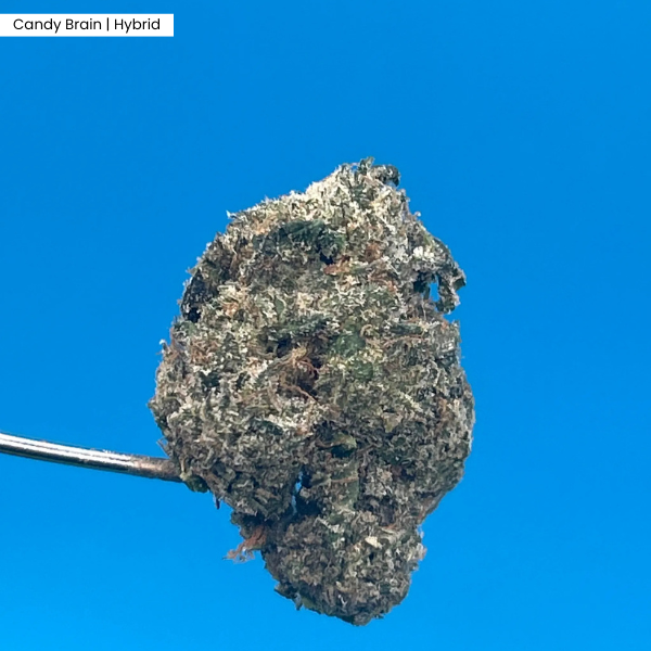 Candy Brain _ Product.png