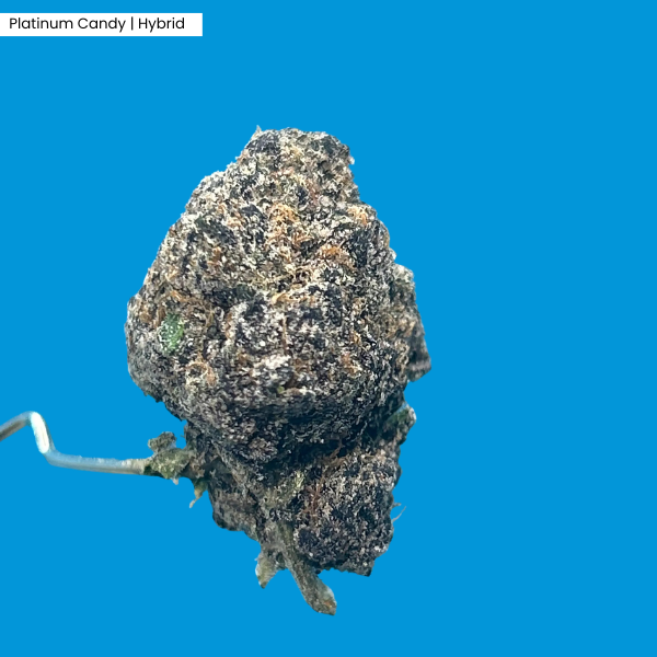 Platinum Candy _ Product.png