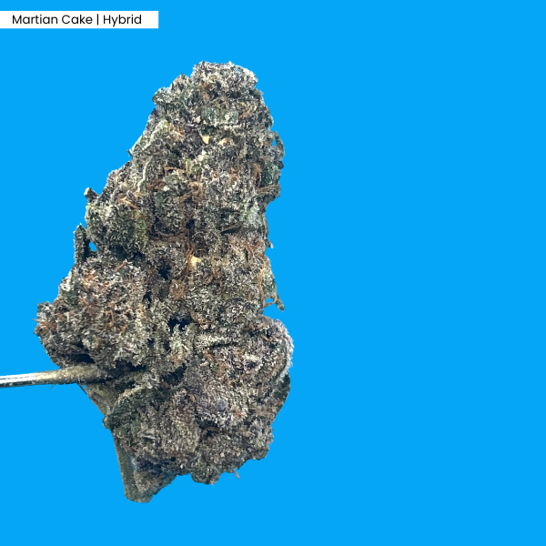 Martian Cake _ Product.png