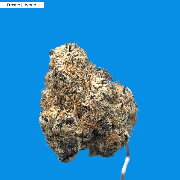 Frostie _ Product.png