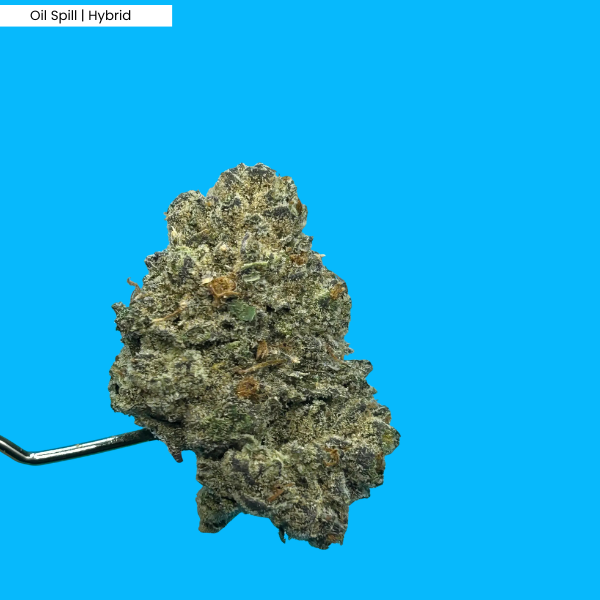 oil spill _ product.png