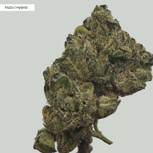 FloZo Runtz _ Product.png