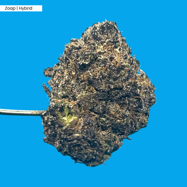 Zoap _ Product 1.png