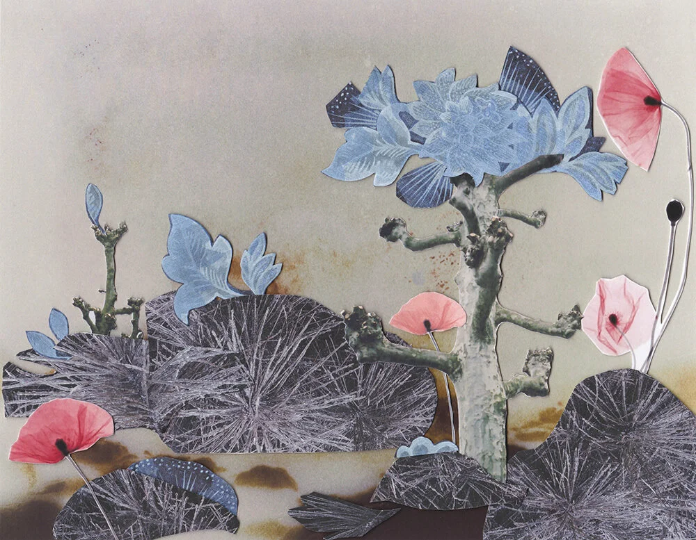 giovanna petrocchi Kyoto_is.jpg
