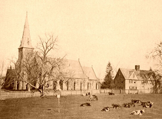  Circa 1870 - with cows where the park now is! 