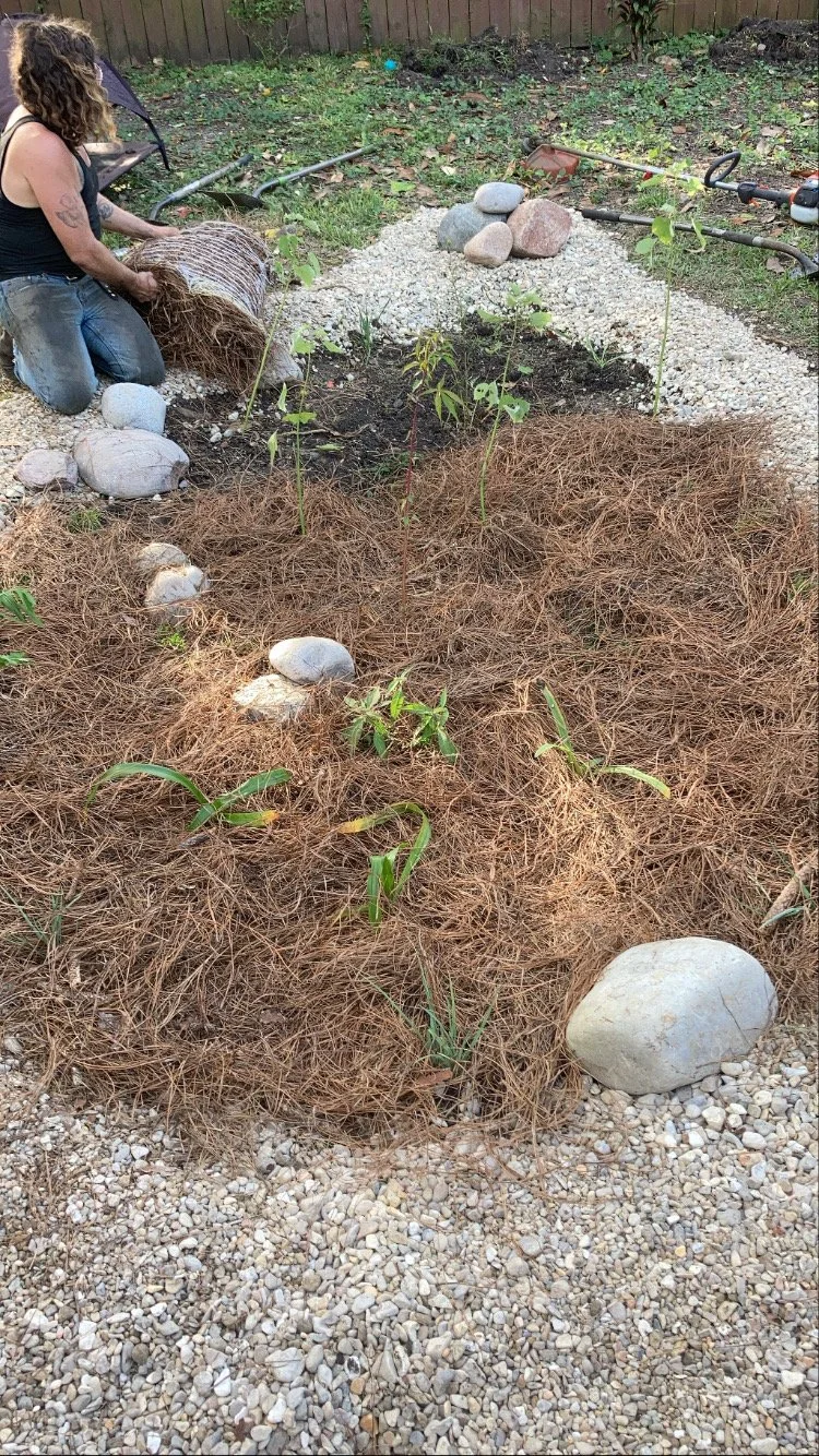 Rain Gardens — Dirty Nola Landscaping