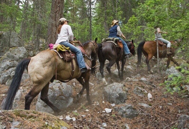 HlafDayRide_Birckenhead-Ride-UpHill.jpg