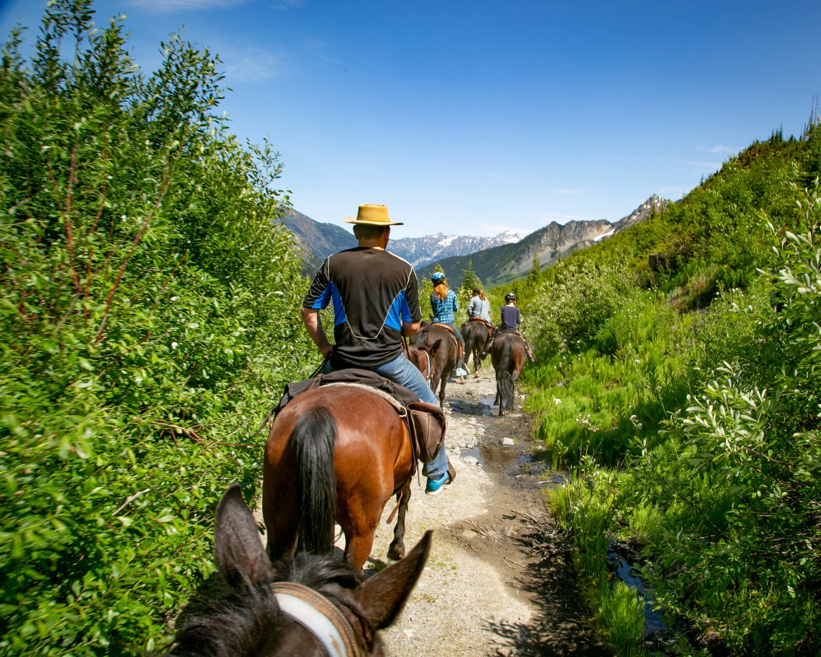 Horseback Riding Adventures: What Is The Backcountry &amp; Where Is It?