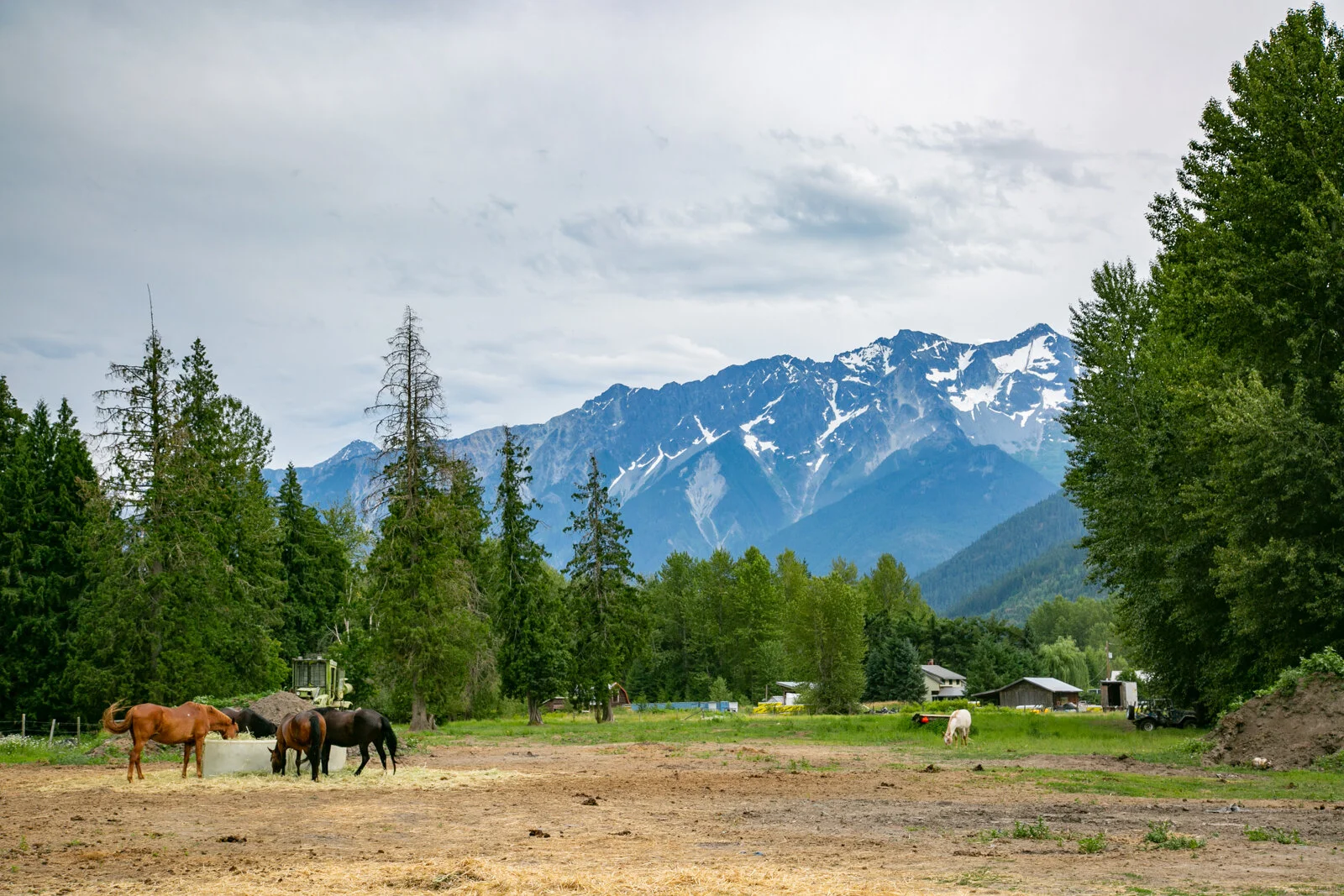 Pemberton: Why it’s a must-visit town for every BC vacation