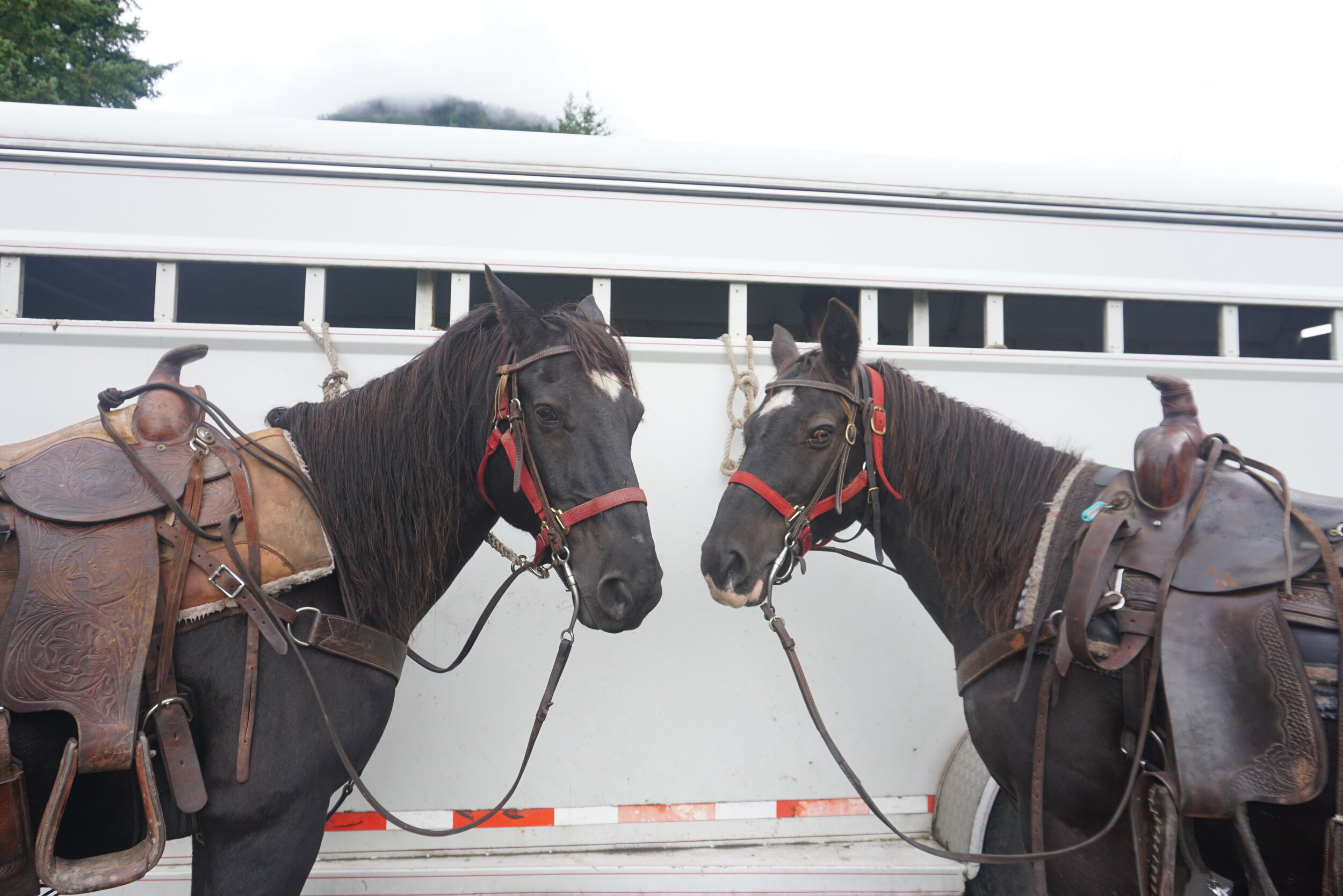 The Real Wild West - Past Guests Share Their Stories From A Copper Cayuse Expedition