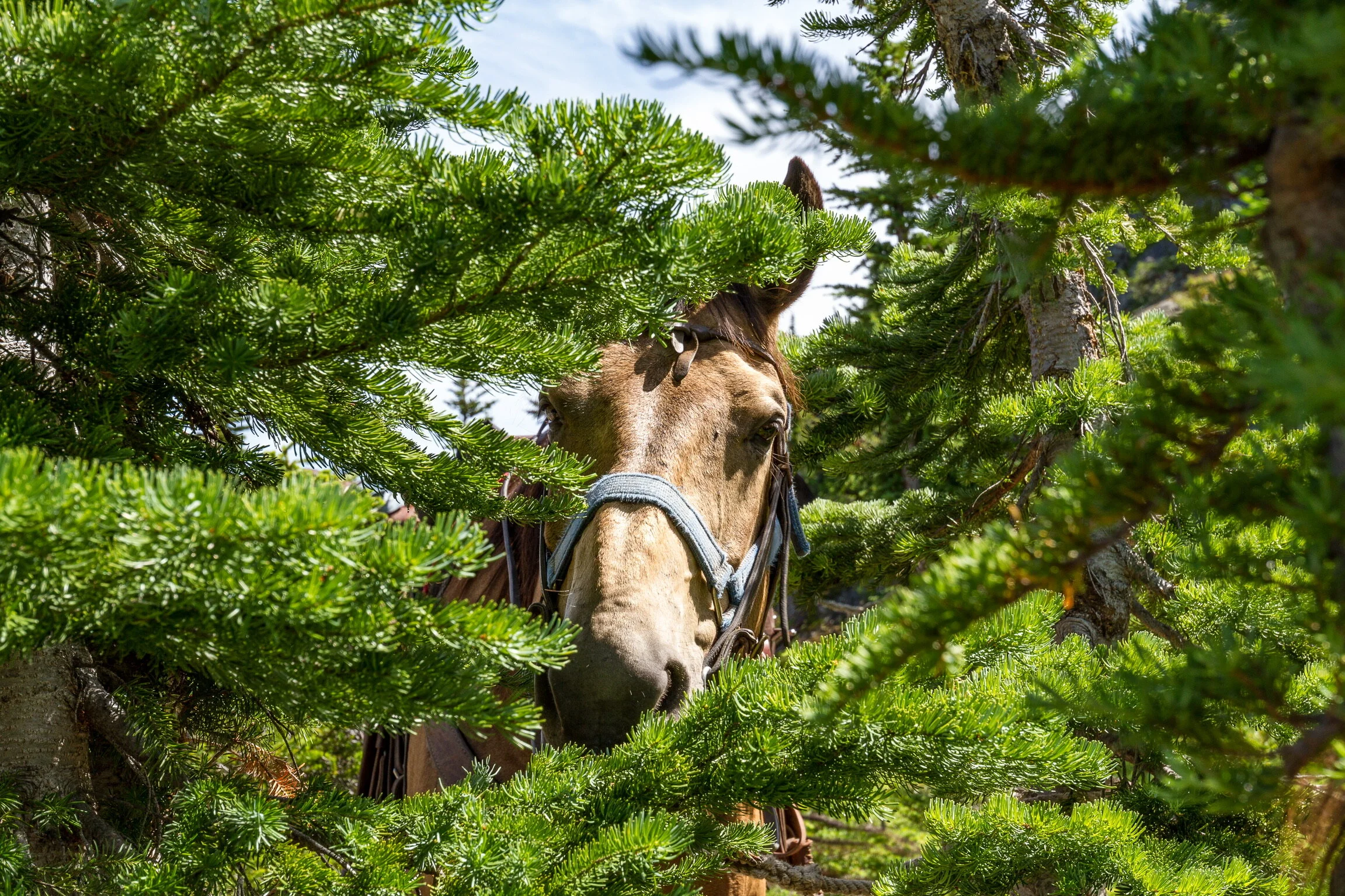 Join us at the Outdoor Adventure &amp; Travel Show | Feb 29- March 1 | Vancouver, BC