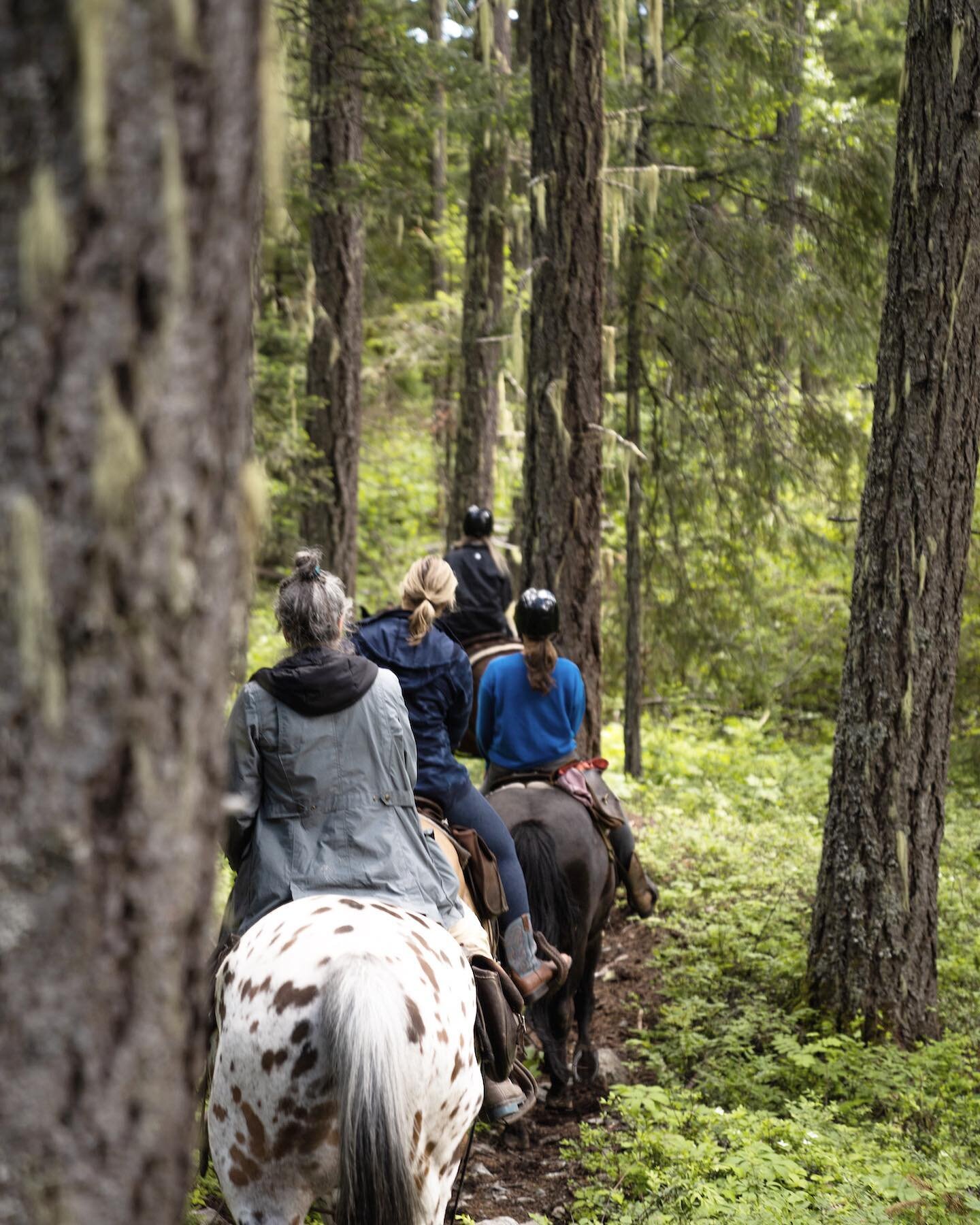 We are ecstatic that for the second year, Copper Cayuse will host a Women&rsquo;s Wellness Retreat from June 23-25. Held in the beautiful, traditional unceded territory of the Lil&rsquo;wat Nation, this retreat is focused on deepening our connection 