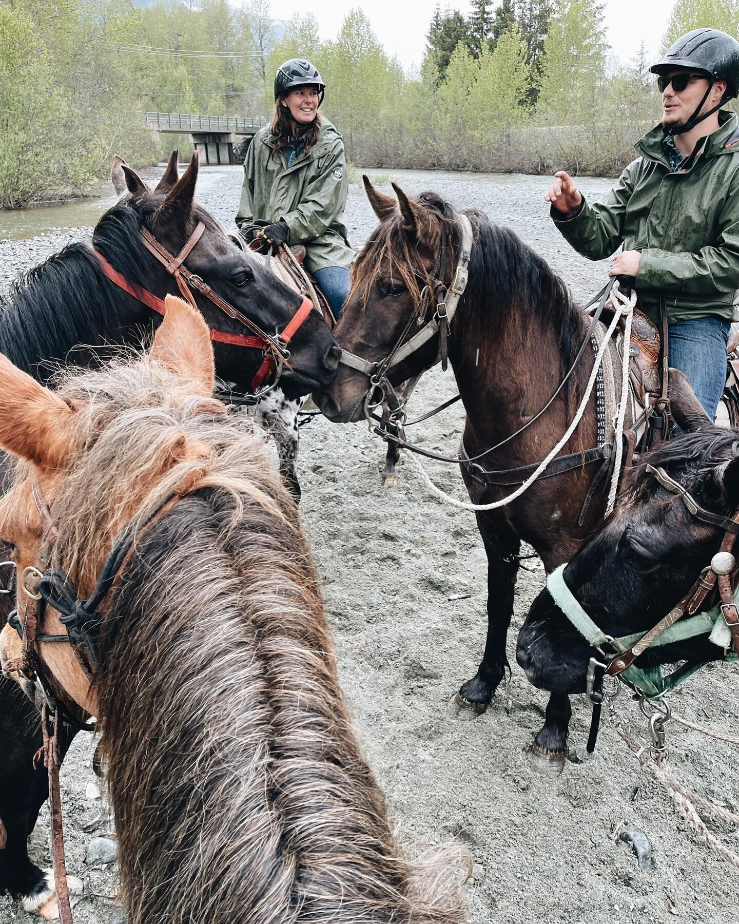 The rain has never stopped us from@having a good time 🌧️🐴

#cco #coppercayuseoutfitters #horseriding #horsebackriding #trailriding #weekendadventures #britishcolumbia #canada #beautifulbc #guidedhorsetours