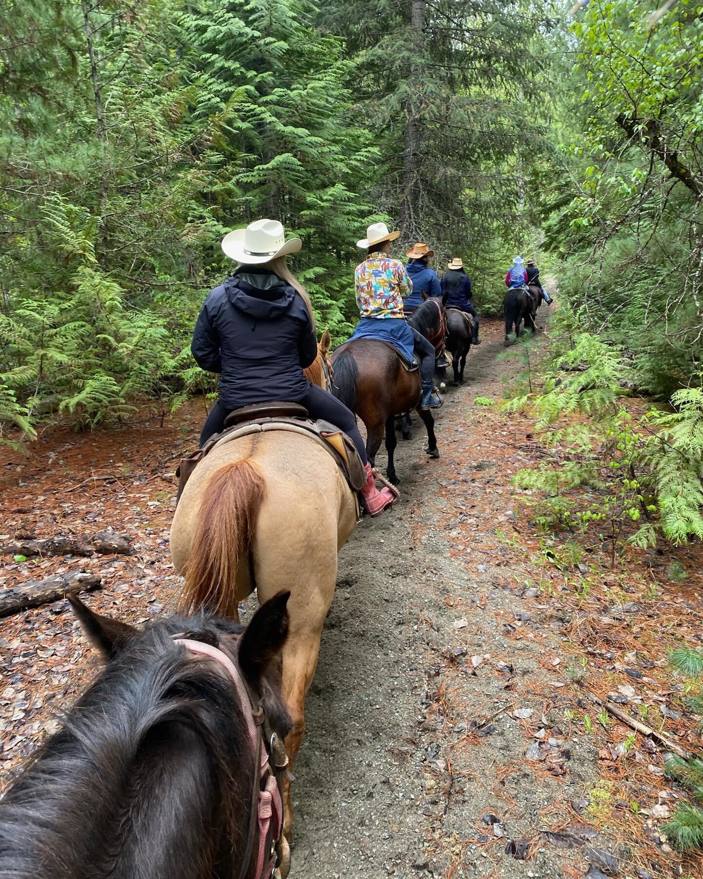 🤠🤠🤠🤠 

Another great day hosting a group of adventure seeking riders! 

#cco #coppercayuseoutfitters #horseriding #horses #pemberton #whistler #britishcolumbia #canada #rideofyourlife #weekendvibes #trailriding