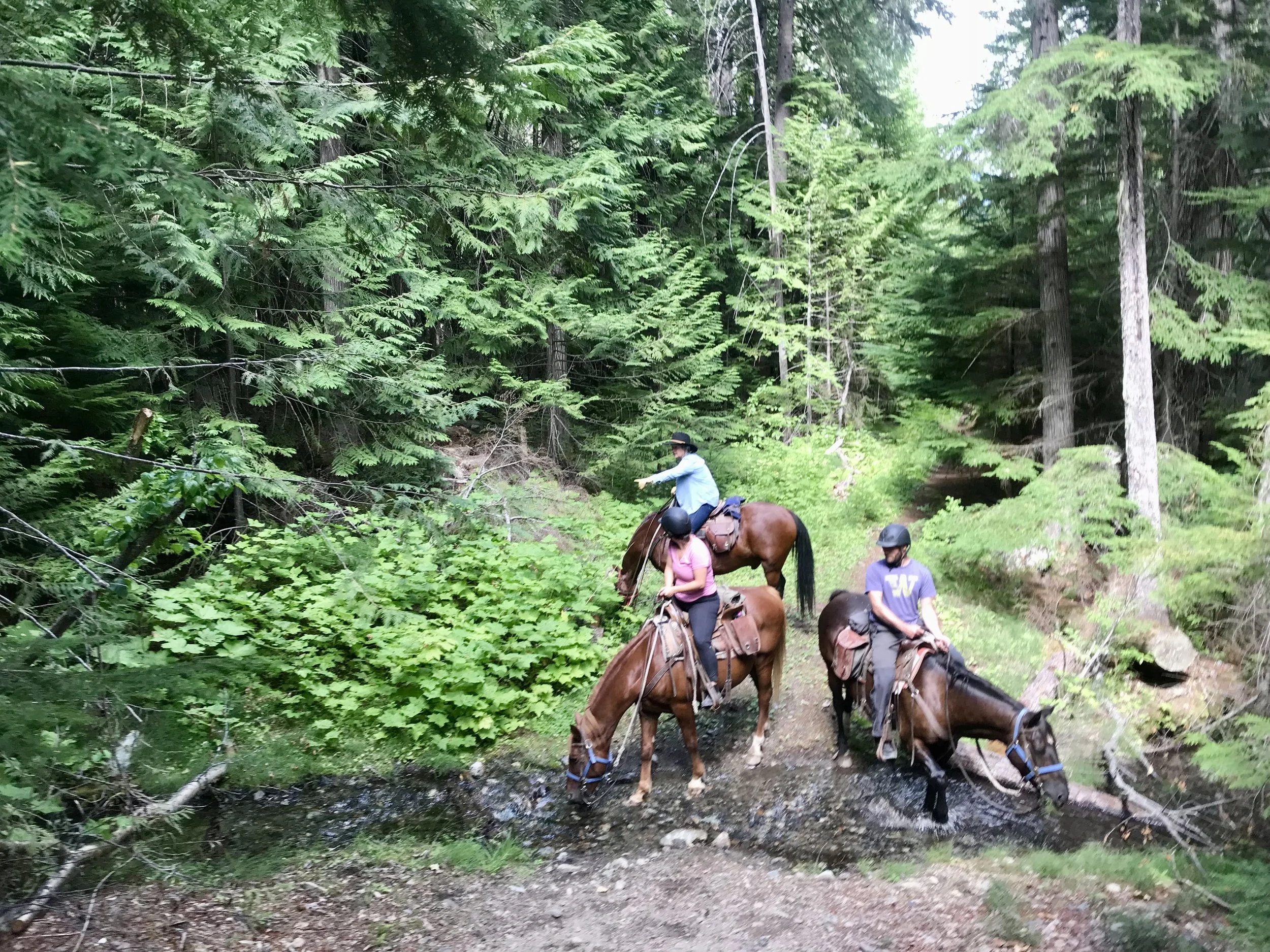 max on a medicine walk.jpeg