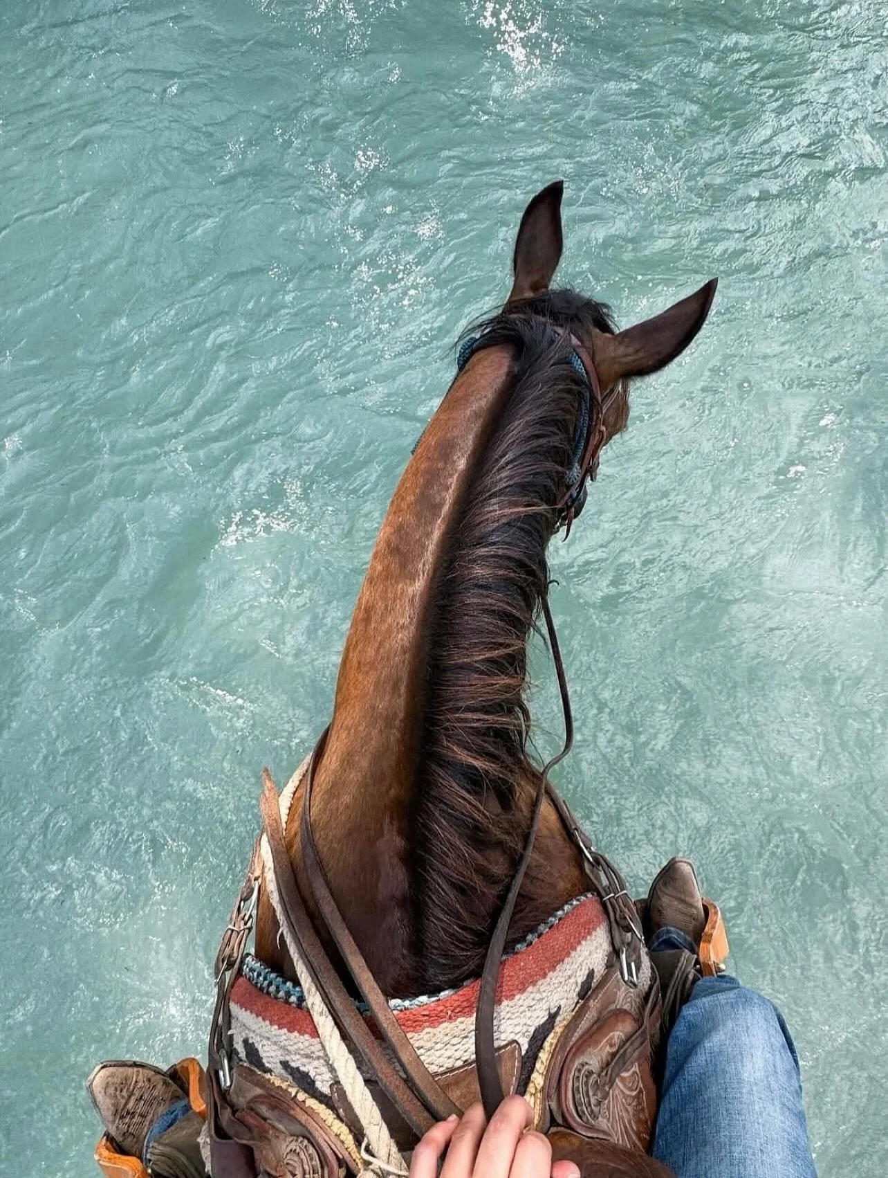 Our favourite point of view