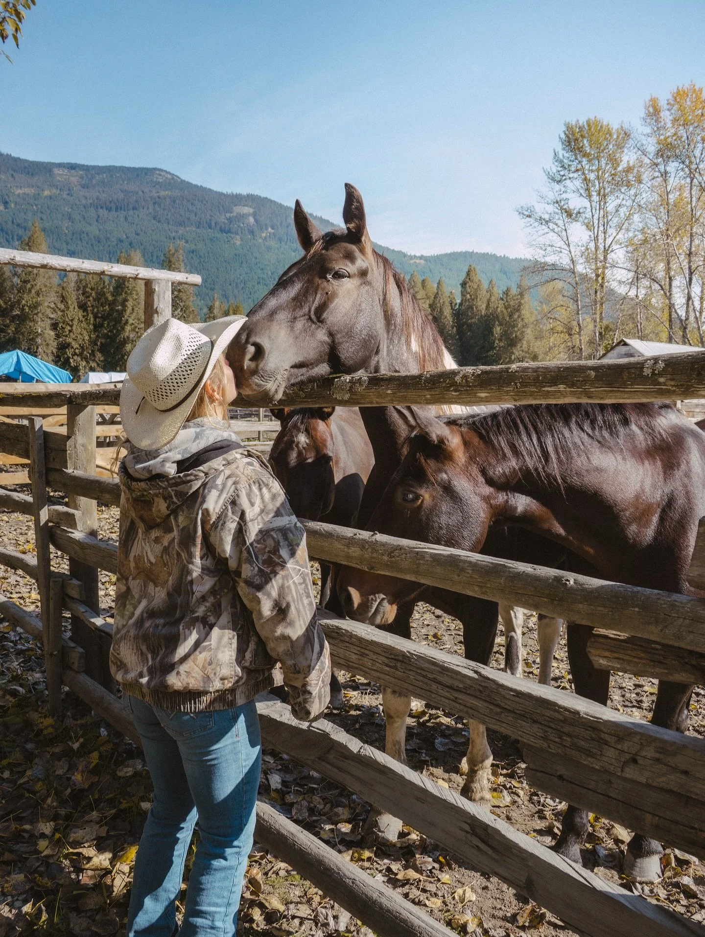The healing power of horses 💛 Our Women&rsquo;s Retreat on June 25-28, 2026 is booking up! If you&rsquo;d like to join us for a restorative few days encompassing therapeutic modalities and horse power, you can book in now and save. Visit the links i