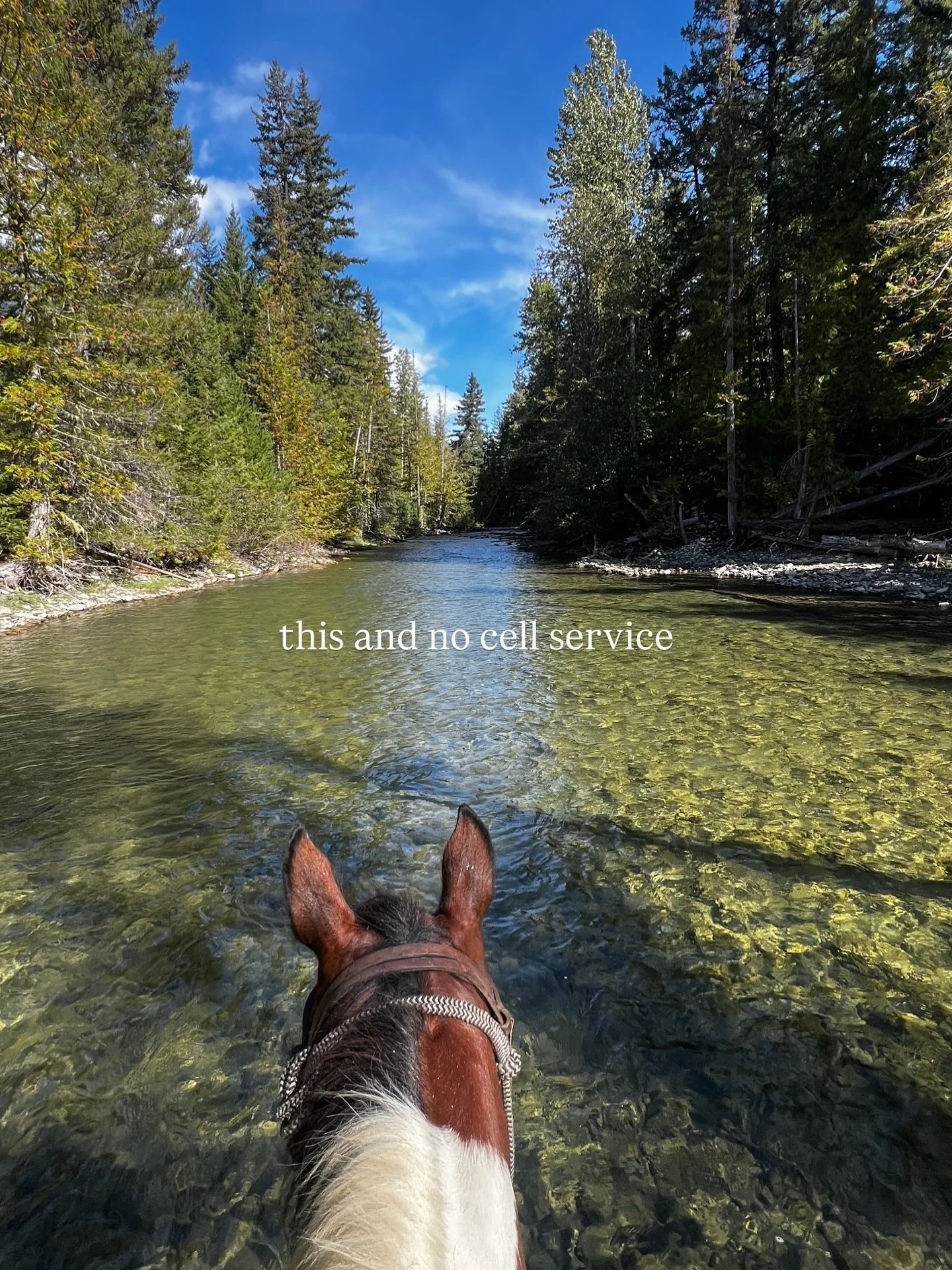 We can take you to a place where you can spend the day off the grid, forget about your phone, and just live life analogue - how it should be.

📍Pemberton, British Columbia

#horseriding #western #canada #vacation #summer