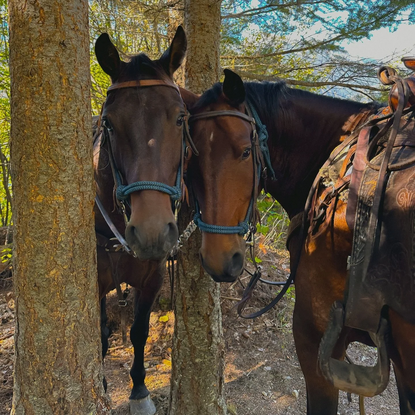 Can these faces get any cuter? ❤️