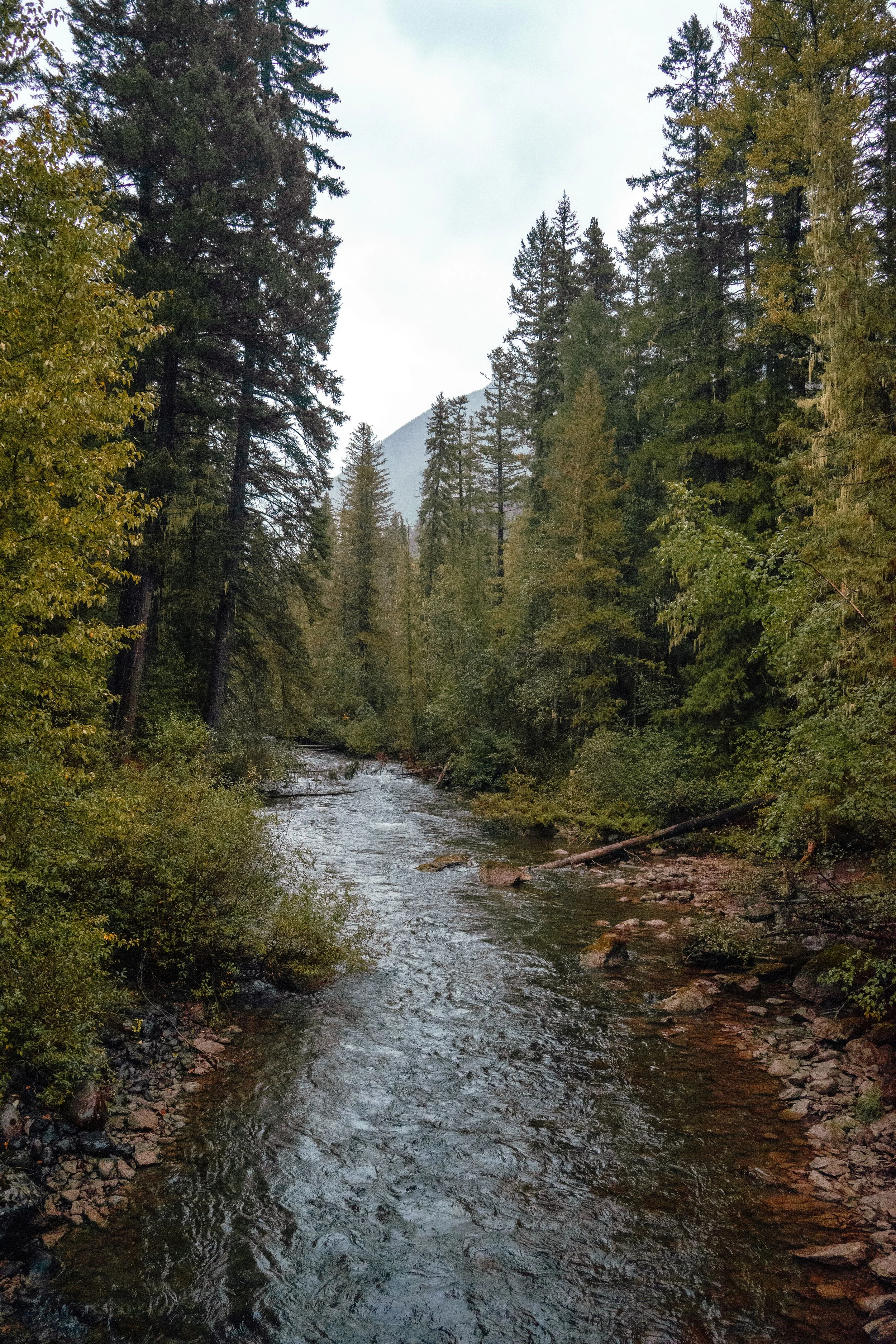 Wrangler Camp-080.jpg