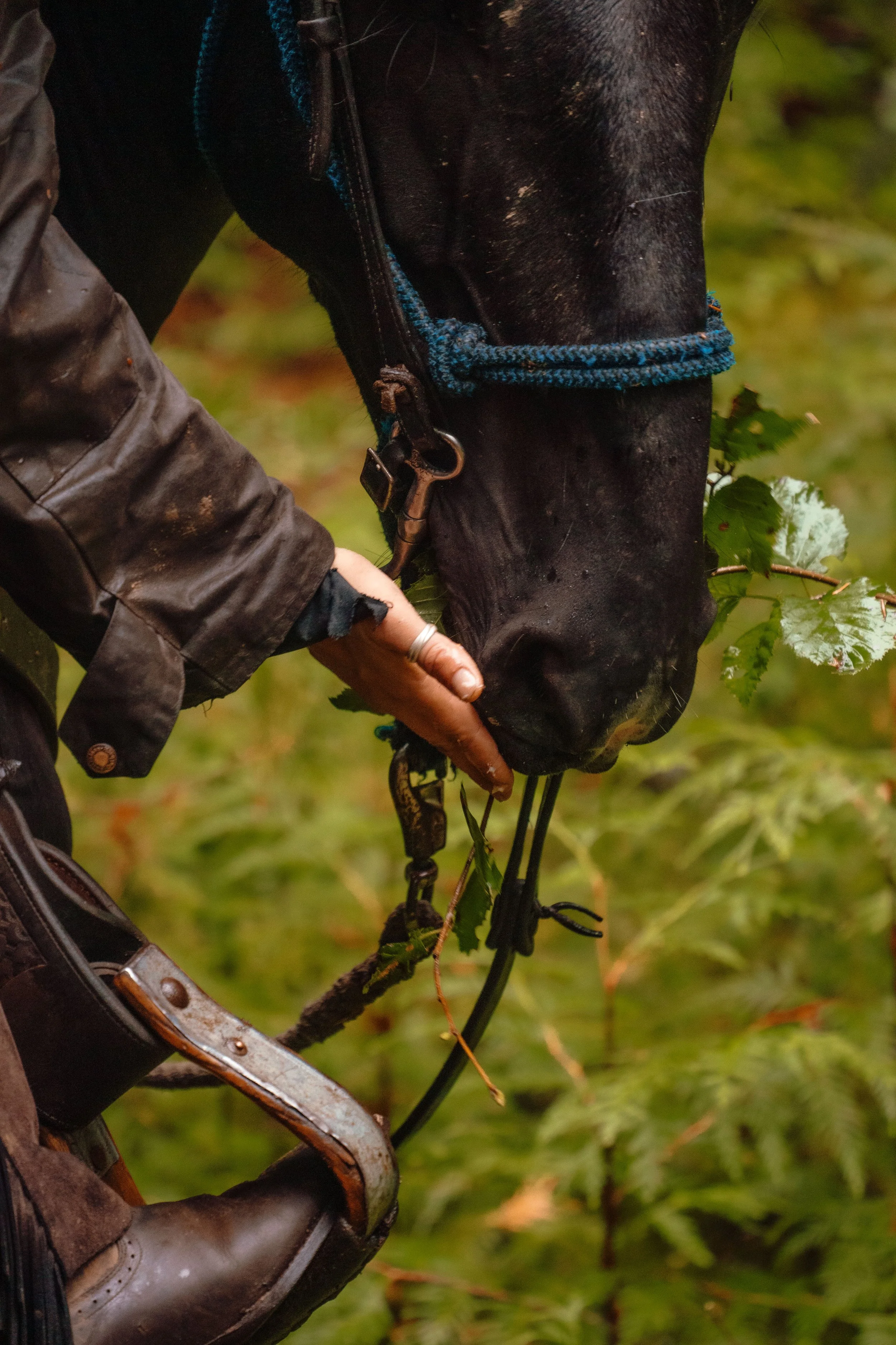 Wrangler Camp-106.jpg