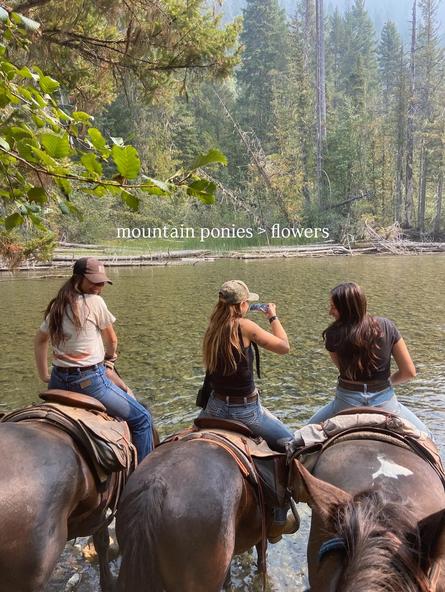 Happy Valentine&rsquo;s Day from our sweet geldings to you ❤️