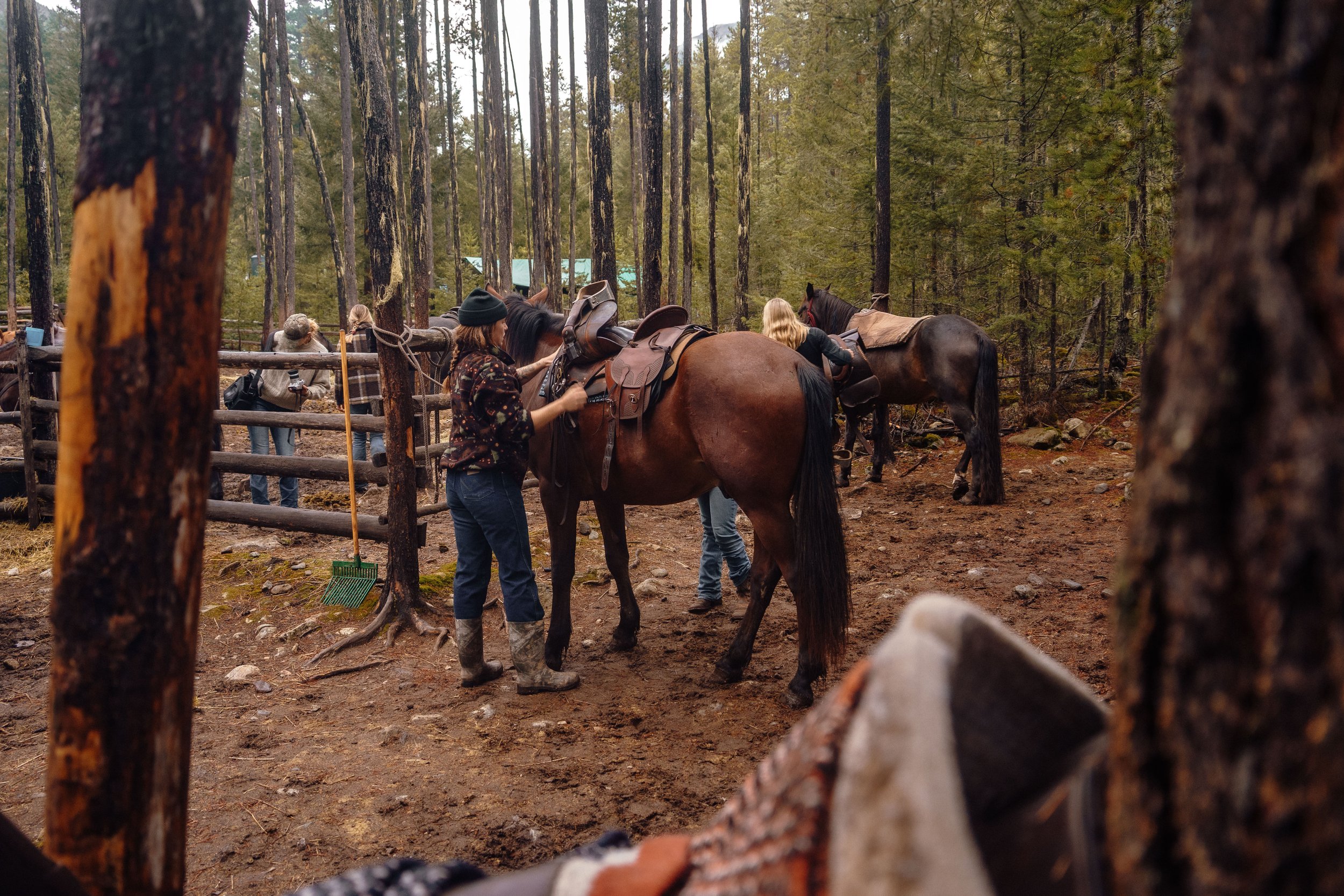 This Weekend Horseback Trip Near Whistler Is the BC Bucket List Experience You Didn’t Know Existed