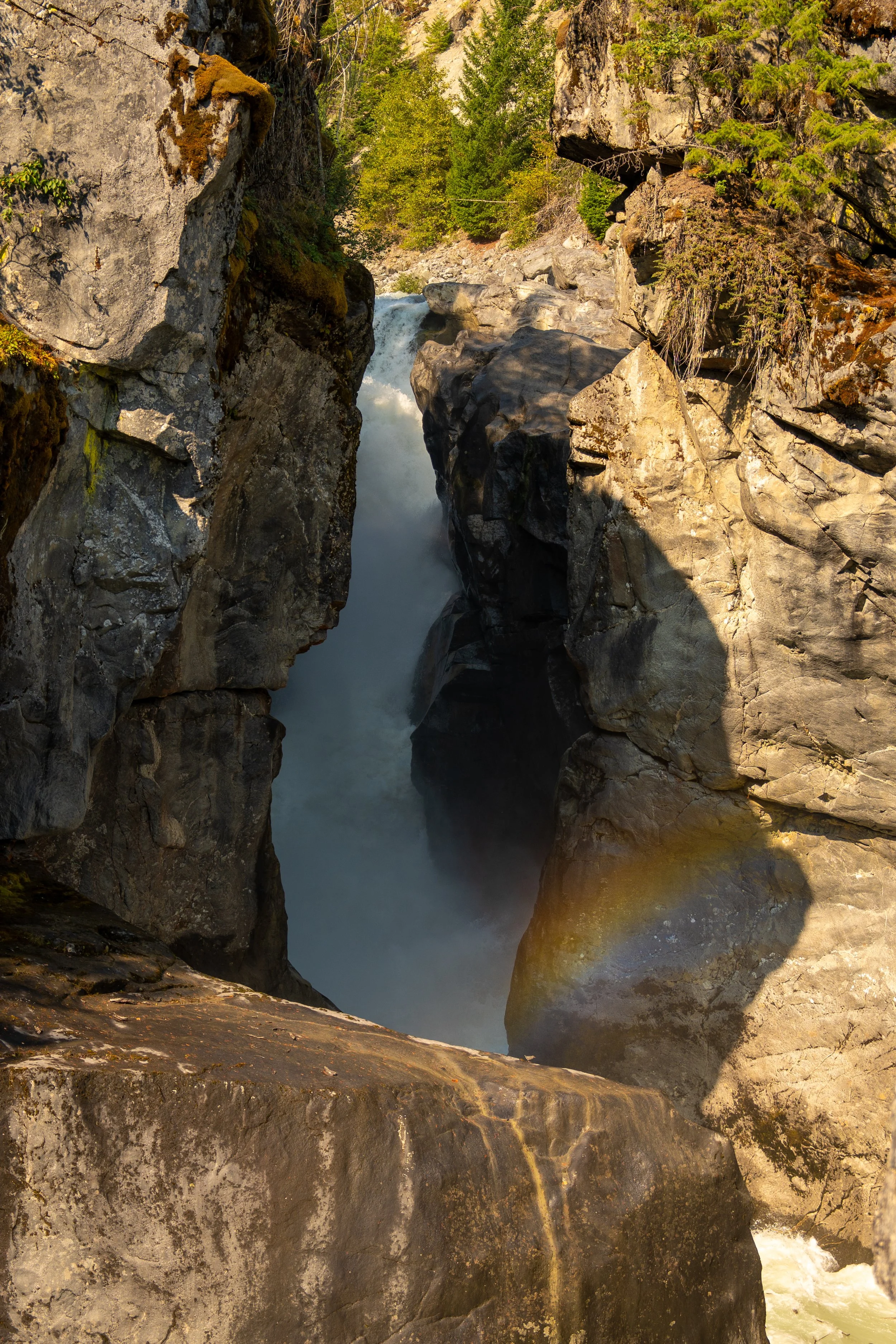 Tourism Pemberton-6.jpg